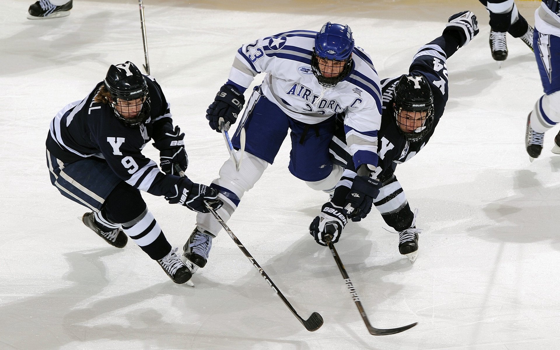 综合格斗赛场焦点！俄罗斯队对阵瑞士队，老将回归赛场，再度燃起斗志